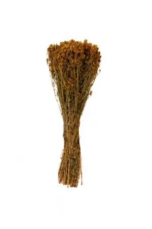 Травы для бани Woodson, зверобой