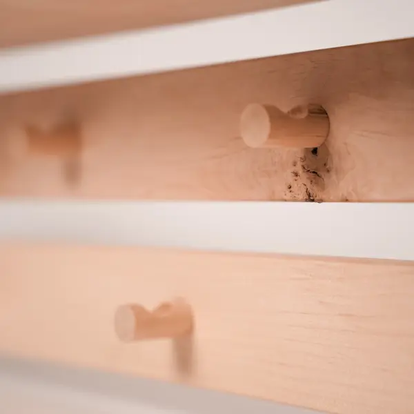 Вешалка настенная Левада Д7, ольха, 2 ряда